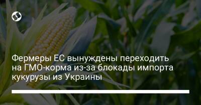 Фермеры ЕС вынуждены переходить на ГМО-корма из-за блокады импорта кукурузы из Украины - biz.liga.net - Украина - Сша - Россия - Евросоюз - Испания - Бразилия - Голландия - Дания - Аргентина