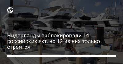 Нидерланды заблокировали 14 российских яхт, но 12 из них только строятся - biz.liga.net - Россия - Голландия