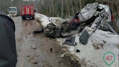 Два человека погибли в ДТП с лесовозом в Ленобласти - usedcars.ru - Ленобласть - район Лодейнопольский - с. Авария