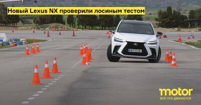 Новый Lexus NX проверили лосиным тестом - motor.ru