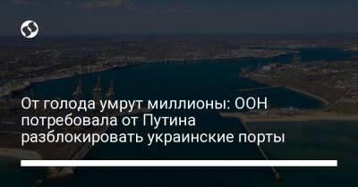 От голода умрут миллионы: ООН потребовала от Путина разблокировать украинские порты - biz.liga.net - Украина - Сша - Россия - Одесса