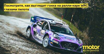 Ford Puma - Посмотрите, как выглядит гонка на ралли-каре WRC глазами пилота - motor.ru