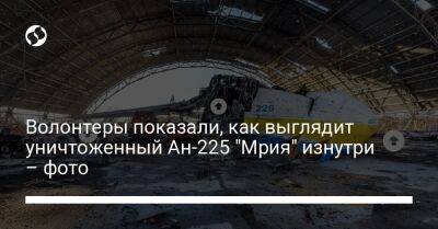 Волонтеры показали, как выглядит уничтоженный Ан-225 "Мрия" изнутри – фото - biz.liga.net - Украина