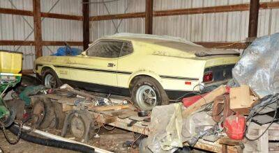 Забыли на 46 лет: в сарае найден редкий Mustang - autocentre.ua - Сша