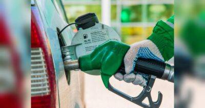 У Польщі водії вже мітингують проти здорожчання пального: що буде з цінами на бензин - fakty.ua - Украина