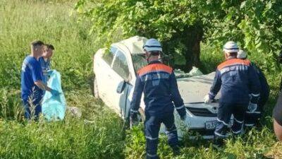 Под Пензой автомобиль врезался в дерево – погибла женщина - usedcars.ru - Пенза