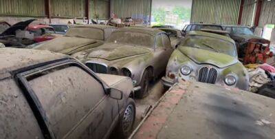 В лесу нашли заброшенную коллекцию автомобилей (видео) - autocentre.ua