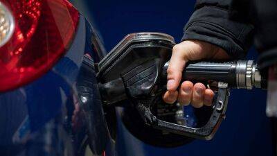 Митч Макконнелл - В США могут отменить налог на топливо - auto.24tv.ua - Сша - штат Мичиган