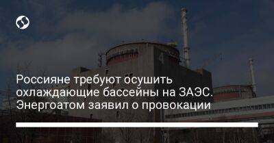 Россияне требуют осушить охлаждающие бассейны на ЗАЭС. Энергоатом заявил о провокации - biz.liga.net - Украина