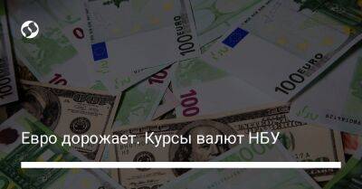 Евро дорожает. Курсы валют НБУ - biz.liga.net - Украина