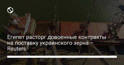 Египет расторг довоенные контракты на поставку украинского зерна – Reuters﻿ - biz.liga.net - Украина - Россия - Индия - Египет - Стамбул