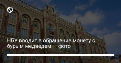 НБУ вводит в обращение монету с бурым медведем — фото - biz.liga.net - Украина