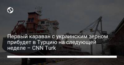 Первый караван с украинским зерном прибудет в Турцию на следующей неделе – CNN Turk - biz.liga.net - Украина - Турция - Стамбул - Сомали