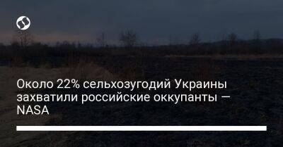 Около 22% сельхозугодий Украины захватили российские оккупанты — NASA - biz.liga.net - Украина - Сша - Россия