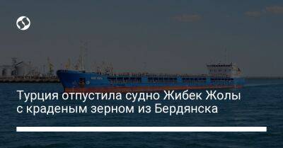 Турция отпустила судно Жибек Жолы с краденым зерном из Бердянска - biz.liga.net - Украина - Россия - Бердянск - Турция - Бердянск