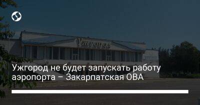 Виктор Микита - Ужгород не будет запускать работу аэропорта – Закарпатская ОВА - biz.liga.net - Украина - Евросоюз - Ужгород