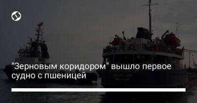 "Зерновым коридором" вышло первое судно с пшеницей - biz.liga.net - Украина - Иран - Турция - Южный - Черноморск - Черноморск - Белиз