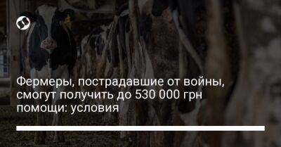 Денис Шмыгаль - Фермеры, пострадавшие от войны, смогут получить до 530 000 грн помощи: условия - biz.liga.net - Украина - Россия - Евросоюз