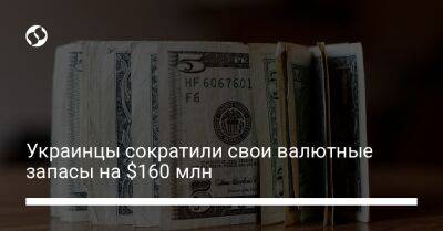 Украинцы сократили свои валютные запасы на $160 млн - biz.liga.net