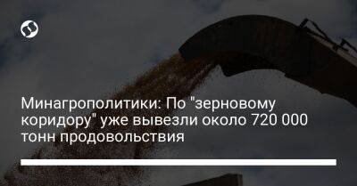 Тарас Высоцкий - Минагрополитики: По "зерновому коридору" уже вывезли около 720 000 тонн продовольствия - biz.liga.net - Украина