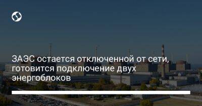 ЗАЭС остается отключенной от сети, готовится подключение двух энергоблоков - biz.liga.net - Украина - Запорожская обл.