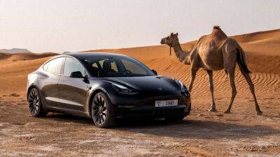Tesla поделилась редкими фотографиями испытаний автомобилей на жаростойкость в Дубае - autonews.autoua.net - Эмираты