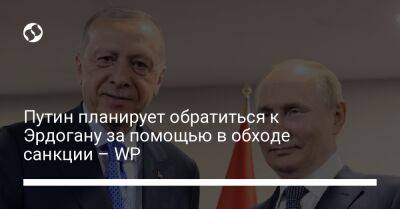 Реджеп Тайип Эрдоган - Путин планирует обратиться к Эрдогану за помощью в обходе санкции – WP - biz.liga.net - Украина - Россия - Евросоюз - Сочи - Индия - Турция - Washington