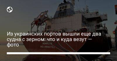 Из украинских портов вышли еще два судна с зерном: что и куда везут — фото - biz.liga.net - Украина - Турция - Стамбул - Южный - Черноморск