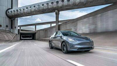 Tesla Model Y может стать самой популярной машиной в мире - auto.24tv.ua - Берлин - штат Техас