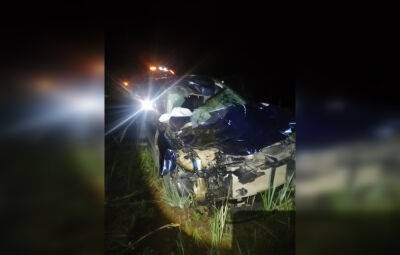 Два человека пострадали после столкновения автомобиля с лосем - afanasy.biz - Santa Fe - Тверская обл.