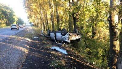 В Кузбассе водитель без прав врезался в дерево и погиб - usedcars.ru