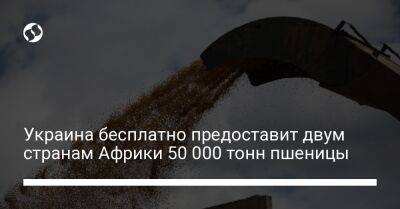 Украина бесплатно предоставит двум странам Африки 50 000 тонн пшеницы - biz.liga.net - Украина - Одесса - Сомали - Эфиопия - Кения