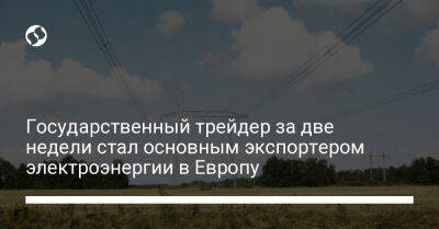 Государственный трейдер за две недели стал основным экспортером электроэнергии в Европу - biz.liga.net - Украина - Словакия - Румыния