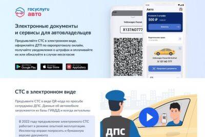 С 1 октября водительское удостоверение можно предъявить через «Госуслуги» - autostat.ru - Россия