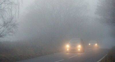 Украину накроет туман: как вести себя на дороге - autocentre.ua - Украина