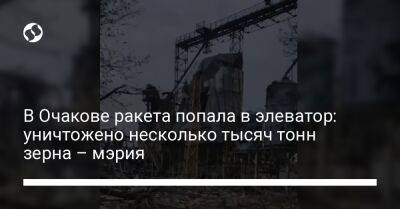 В Очакове ракета попала в элеватор: уничтожено несколько тысяч тонн зерна – мэрия - biz.liga.net - Николаевская обл.