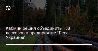 Кабмин решил объединить 158 лесхозов в предприятие "Леса Украины" - biz.liga.net - Украина - Литва