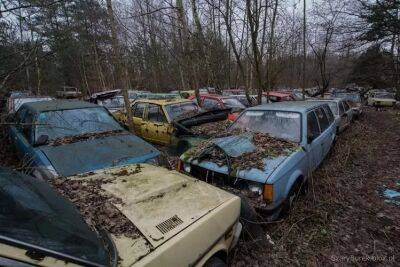 Есть даже ЗАЗ: фотограф случайно нашел огромную свалку автомобилей - autocentre.ua - Варшава