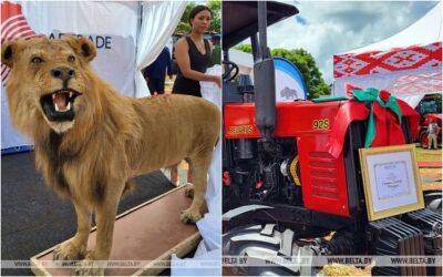 Лукашенко подарил президенту Зимбабве трактор. А тот в ответ — чучело льва - zr.ru - Белоруссия - Зимбабве