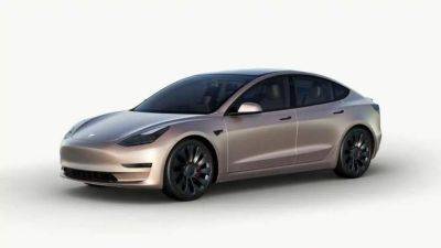 Tesla предлагает оклеивать машины пленкой за $7500-$8000 - auto.24tv.ua - Сша - штат Калифорния