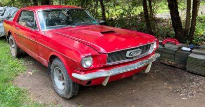 В заброшенном сарае нашли раритетный Ford Mustang 60-х: он 40 лет стоял на месте (фото) - focus.ua - Украина - Сша