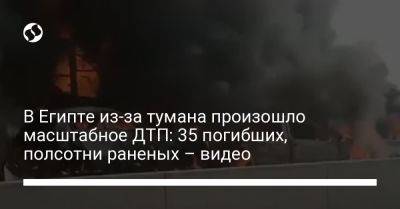 Sky News - В Египте из-за тумана произошло масштабное ДТП: 35 погибших, полсотни раненых – видео - liga.net - Украина - Италия - Египет - Александрия