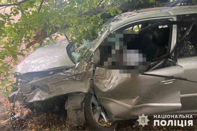 На Вінниччині Lexus врізався у дерево: загинула жінка - real-vin.com - Украина