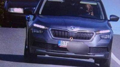 Собака за рулем попала на камеру фиксации скорости: водитель оштрафован - auto.24tv.ua - Словакия