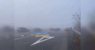 Масштабное ДТП в Полтавской области: из-за сильного тумана столкнулись около 10 автомобилей (видео) - fakty.ua - Украина - Полтавская обл.