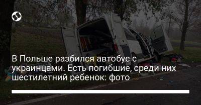 В Польше разбился автобус с украинцами. Есть погибшие, среди них шестилетний ребенок: фото - liga.net - Киев - Украина - Польша