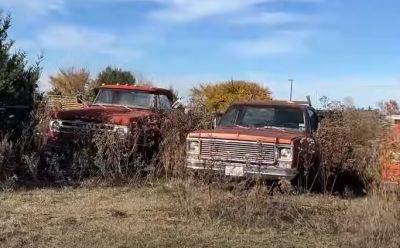 Chevrolet, Mercury и другие: в США нашли кладбище раритетных автомобилей (видео) - autocentre.ua - Сша - штат Техас