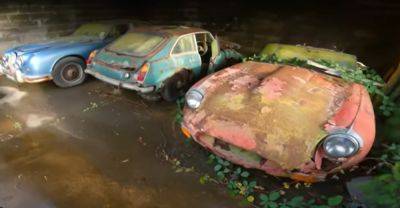 Забыли на 45 лет: в Британии найдена заброшенная коллекция раритетных автомобилей (видео) - autocentre.ua - Англия