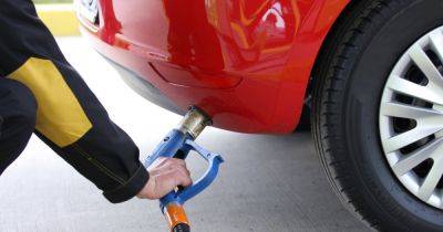 Какими будут цены на бензин и газ для авто в 2024 году: прогноз аналитика - focus.ua - Украина - Польша