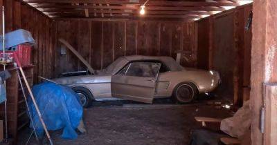 Заброшенный спорткар Ford Mustang 60-х впервые помыли за 44 года (видео) - focus.ua - Украина - Сша